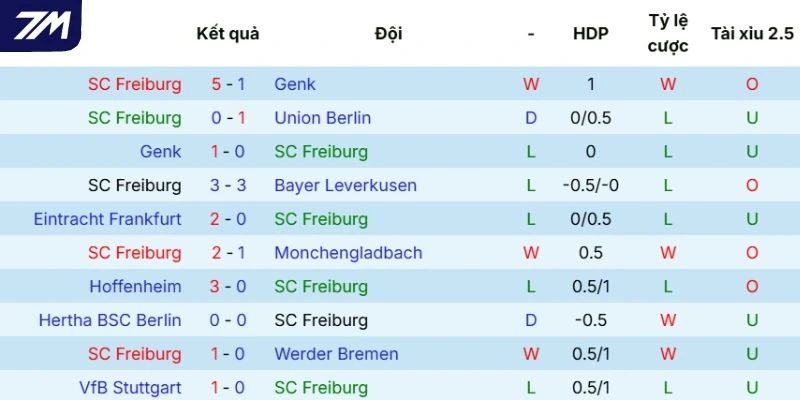 Phong độ thi đấu gần đây của Freiburg